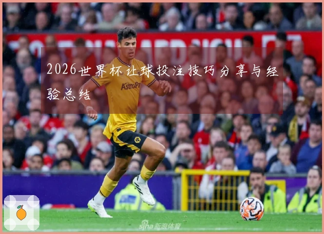 2026世界杯让球投注技巧分享与经验总结